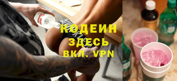 сатива Заводоуковск