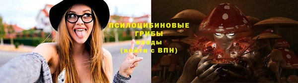 сатива Заводоуковск