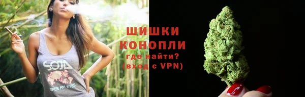 сатива Заводоуковск