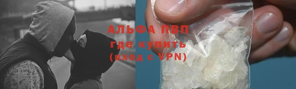 сатива Заводоуковск