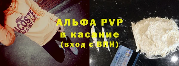 сатива Заводоуковск