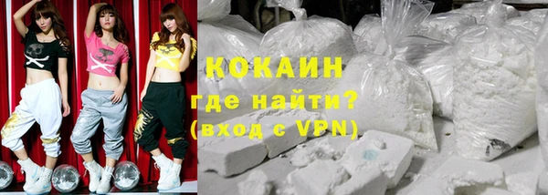 сатива Заводоуковск