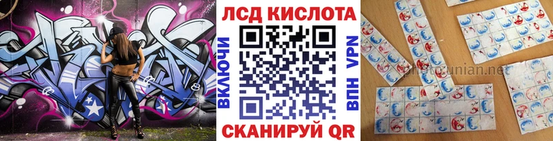 Купить где  Подпорожье  Марки NBOMe 1500мкг 
