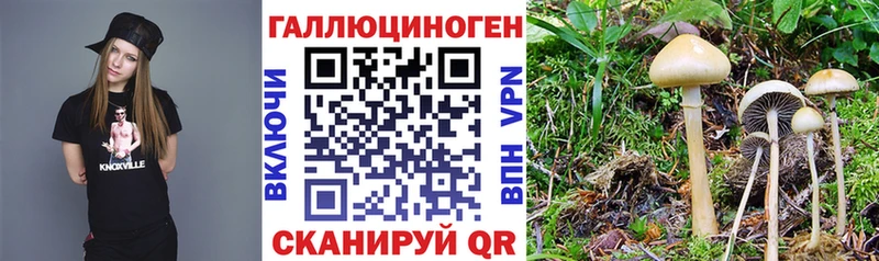 Псилоцибиновые грибы Magic Shrooms  Купить закладки  Подпорожье 