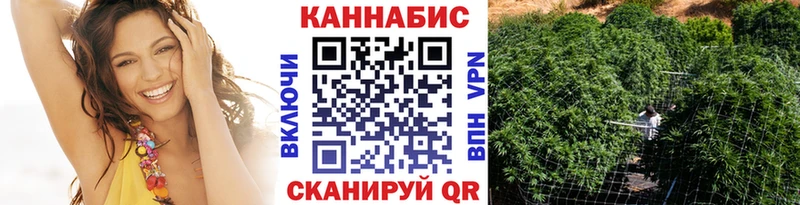 Купить  Подпорожье  Каннабис семена 
